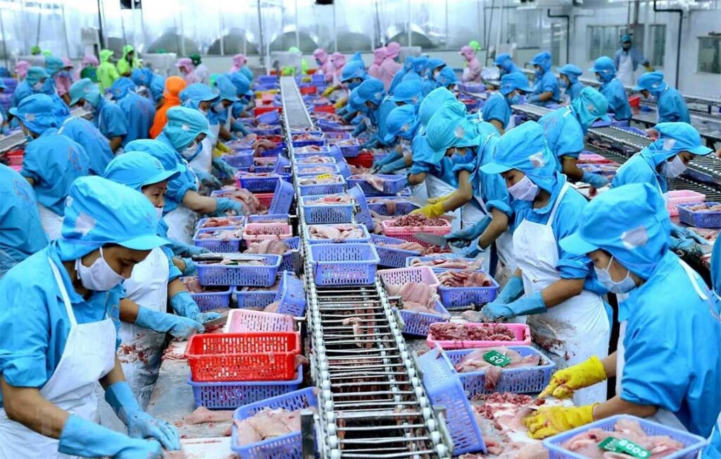 The United States officially inspected Vietnam pangasius hypophthalmus ...